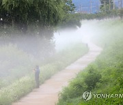 아침까지 내륙 안개…연휴 첫날 귀성길 조심