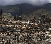 Hawaii Wildfire Congressional Hearing