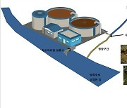 하수처리 거친 물, 깨끗한 하천에 흘려보내니…이 동물 사라졌다