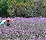 '꽃길만 걷자'