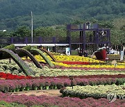 인제 가을꽃축제 찾은 관광객들