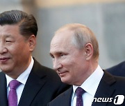 中 "푸틴, 내달 방중 기간 시진핑과 중요한 전략적 문제 논의할 것"