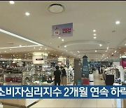 울산 소비자심리지수 2개월 연속 하락