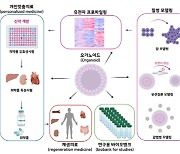 동물실험 대체한다는데...유사 미니장기는 윤리문제 없나?