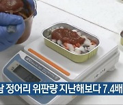 경남 정어리 위판량 지난해보다 7.4배 증가