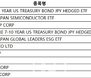 엔저에 올라탄 일학개미, 올해 뭐 샀나 봤더니…