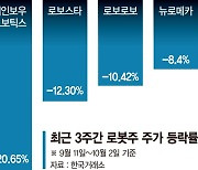 너무 올랐나… 로봇주 줄줄이 하락