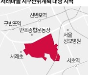 서래마을 지구단위계획 수립 추진