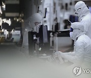 “한국 수출 효자가 돌아왔다”…11개월만에 최고치 찍은 반도체