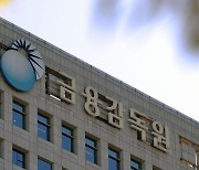 '금감원 업무혁신 로드맵 도입 1년' 분쟁처리 건수 34.3% 증가