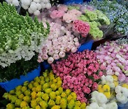 정성꽃배달, 700여 화원사와 통합 꽃배달 서비스 선보여… 개업 화분부터 근조 화환까지, 전화 한 통으로 주문 완성