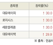 [fnRASSI]오늘의 상한가, 대유에이피 30.0% ↑