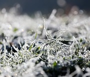 내일 강원 산지 첫서리·얼음 관측 예상 '평년보다 보름 빨라'