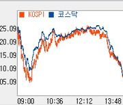 [코스닥 마감]개인 '팔자' 800선 붕괴 위기…포스코DX 9%대↓