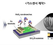 '10조분의 1 감지'…표준연, 세계 최고 감도 유해가스 센서 개발