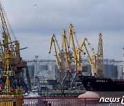 우크라, '농산물 수입금지' 폴란드 등 3개국 WTO 제소 중단