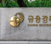 금감원, ESG 펀드 공시 기준 도입…"투자 활성화 기여할 것"