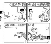 아이디