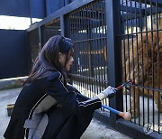 갈비사자 '바람이'에게 먹이주는 김건희 여사