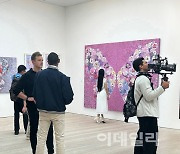 [포토] 런던 사치갤러리에 전시된 나비작품