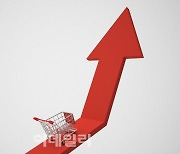 씨티 "올해 소비자 물가 전망치 3.6%, 내년 2.4%로 상향"