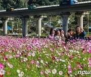 '깜짝 추위' 가고 평년 기온 되찾아…강원·영호남 비 [내일날씨]