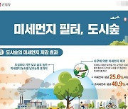 ‘천연 공기청정기’ 쾌적한 도시숲, 포항시민 삶의 질 높인다!