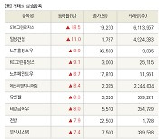 [fnRASSI]장마감, 거래소 상승 종목(STX그린로지스 18.5% ↑)