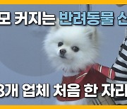 [자막뉴스] 첫 반려동물 박람회 '제주펫페어'.. 관련 산업 성장 밑거름되나