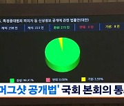 내년부터 중대범죄자 30일 이내 촬영한 '머그샷' 공개 의무화