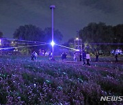 가을하늘 수놓은 레이저 아트 '서울라이트 한강 빛섬축제'