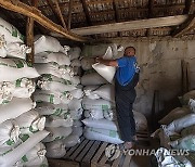 NORTH MACEDONIA RICE HARVEST