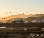 '가을밤 별을 품다'…김해시, 14일 화포천서 특별 천체관측 행사