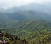 산림청 "산림 관련 법률 개정안 3건 국회 본회의 통과"