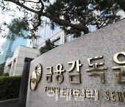 금감원, 자회사 신용공여 공시 위반 우리금융에 과태료 2400만원