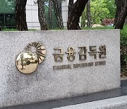 금감원, ‘신용공여 공시 위반’ 우리금융에 과태료 2400만원