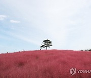 강원영동·남해안·제주에 비…낮 최고 20∼23도