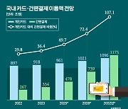 '○○페이 납부' 보험사 걱정 커지는 이유