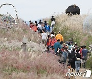 찬 이슬 맺히는 한로