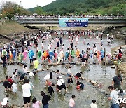 맨손물고기잡기 '북새통'