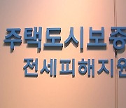 '깡통주택' 5곳 중 1곳은 전세금 못 돌려준 보증사고