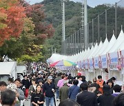 [포토] 횡성한우축제 '북적북적'