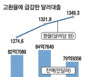 '킹달러'에 달러대출 급감 지난달 연중 최저치 기록