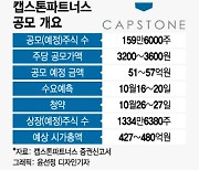 최고가 찍더니 60% 폭락…'잔혹사' 이어져도 상장 목메는 이유