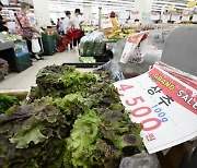 “삼겹살보다 더 비싼 깻잎”…고기에 채소 쌈 싸 먹을 판