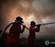 인니 산불 피해 인근 국가로 확산…싱가포르도 대기질 악화