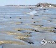 갯벌서 숨진 채 발견된 70대 노부부…아들 연루 가능성 수사