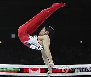 Belgium Gymnastics World