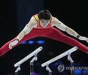 Belgium Gymnastics World