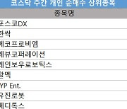 코스닥 주간 개인 순매수 1위 '포스코DX'